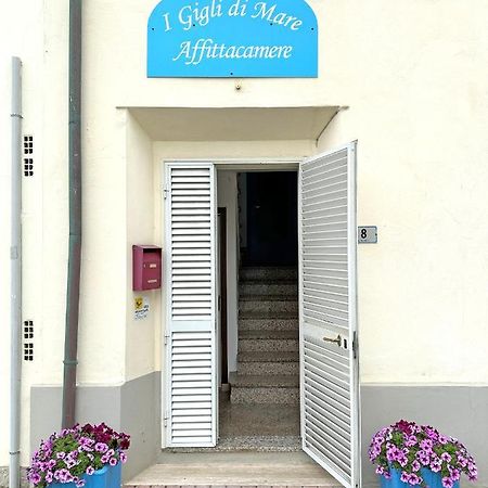 Affittacamere I Gigli Di Mare Marina Di Bibbona Dış mekan fotoğraf